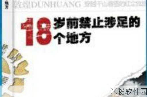 中国十八禁网站：探索中国网络禁区：揭示十八禁网站的真相与影响